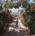 Profile Picture of Alexandra Kádàr (@Alexandra-Kádàr) on Facebook