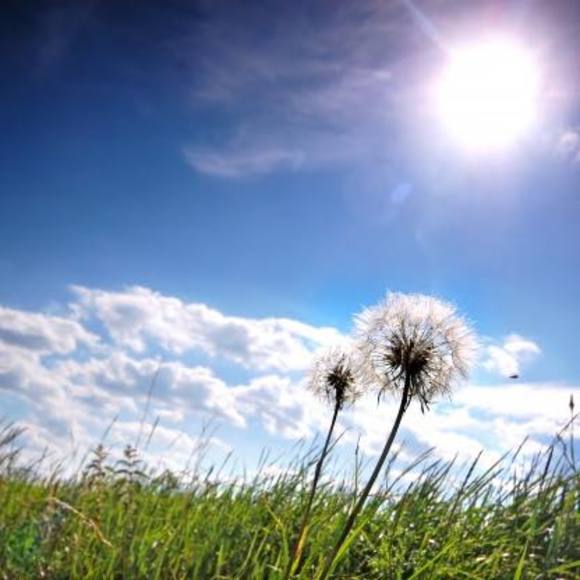 Profile Picture of Mari Silva (@marigsilva) on Poshmark