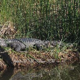 James D. M. Tolliver - Twitter Profile Picture of James D. M. Tolliver (@JDMTphotography) on Twitter