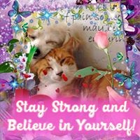 Profile Picture of Terry Shay (@terry-shay-4) on Quora