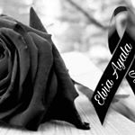 Omar Sotelo - Instagram Profile Picture of Omar Sotelo (@omar.sotelo.9862) on Instagram