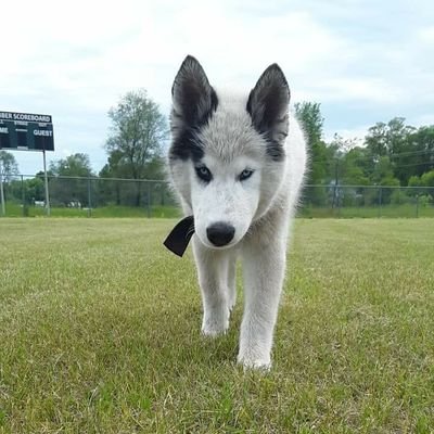 Profile Picture of Steven Nowakowski (@Jay81965858) on Twitter