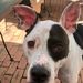 Profile Picture of Kendel Taft (@kendeltaft) on Pinterest