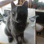 Profile Picture of Mitzi Hess (@mag251) on Pinterest