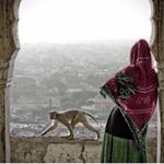 Profile Picture of Day De Paula Giglioli (@daygiglioli) on Instagram