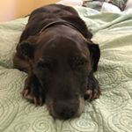 Profile Picture of seanordonez (@seanordonez) on Instagram