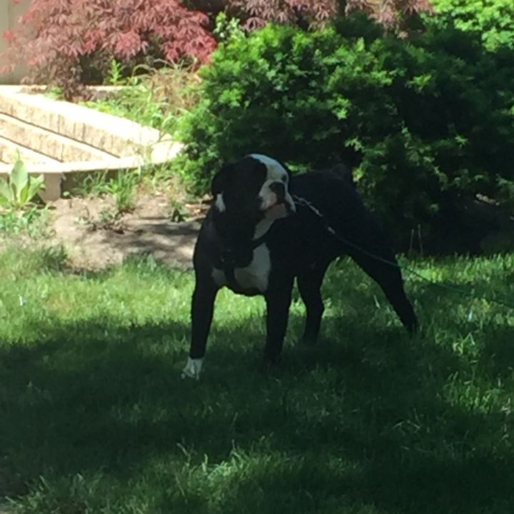 Profile Picture of james.schnapp (@jamesschnapp) on Tiktok