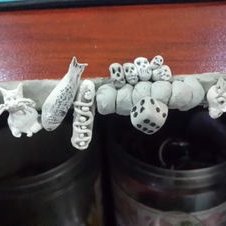 Francois Visser - Twitter Profile Picture of Francois Visser (@FrancoisVisse10) on Twitter