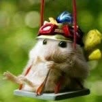 Profile Picture of Chris (@chris_mun) on Instagram