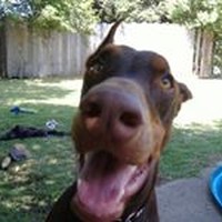 Profile Picture of Kim Gutierrez (@kim-gutierrez-4) on Quora
