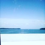 Profile Picture of Michele Vanderhoef (@michaelvanderhoef200) on Instagram