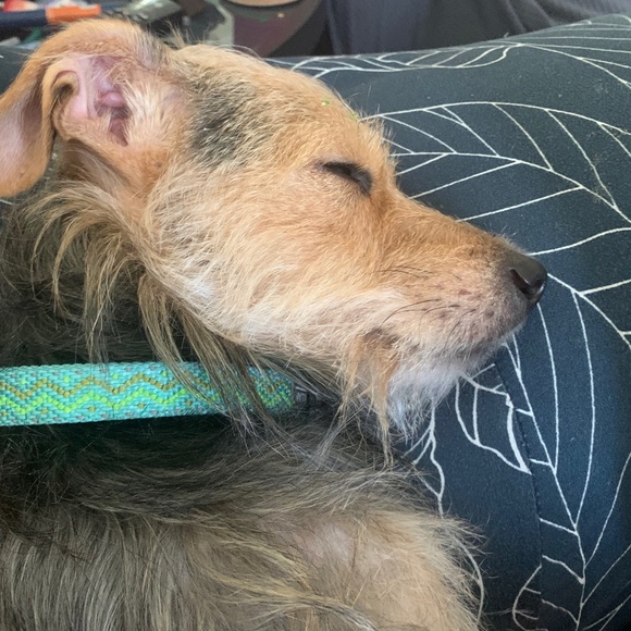 Profile Picture of Craig Belkin (@craigbelkin77) on Poshmark