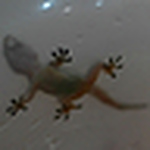 Profile Picture of albert lin (@alin14) on Flickr