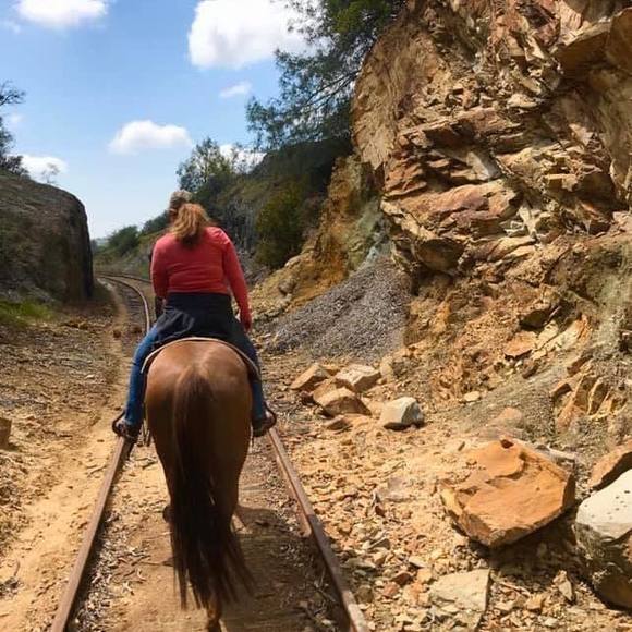 Profile Picture of Serena Rodocker (@rodocker) on Poshmark