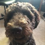 Profile Picture of Chase Childress (@chase_childress123) on Instagram