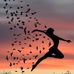 Profile Picture of Pole Shash (@pole.shash.56) on Facebook