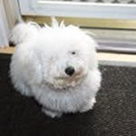 Profile Picture of Keith Wilding (@wildingkeith) on Instagram