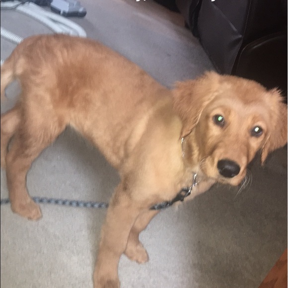 Megan Fellner - Poshmark Profile Picture of Megan Fellner (@megfell426) on Poshmark