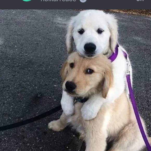 Profile Picture of Tyler Chambers (@tyler1385) on Poshmark