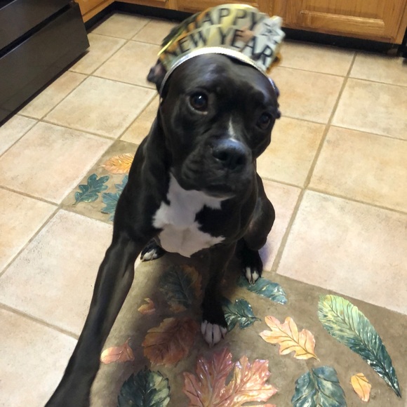 Profile Picture of Olyvia Galton (@via2145) on Poshmark