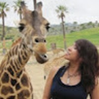 Julie Westerling - Quora Profile Picture of Julie Westerling (@julie-westerling-1) on Quora