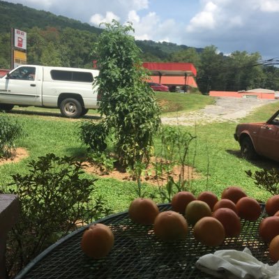 Profile Picture of Allen Holcomb (@allenholcomb12) on Twitter