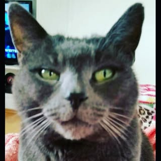 Profile Picture of sandra Engels (@sandraengels) on Instagram