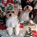 Profile Picture of Kathy Stutts (@kathy.stutts.77) on Facebook
