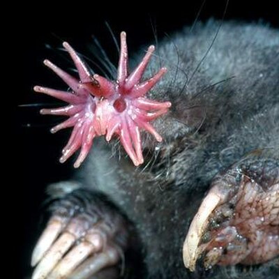 Profile Picture of Carl Ecklar (@@beachrubble) on Twitter