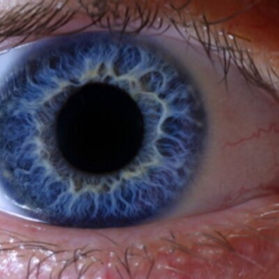 Profile Picture of Joseph Brunk (@JosephBrunk) on Twitter