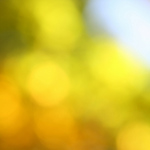 Profile Picture of David E. Starr (@David E. Starr) on Flickr