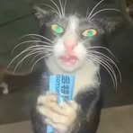 Profile Picture of Paul DevosDoan (@paul.devos.doan) on Facebook