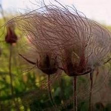 Profile Picture of Connie Kafka (@ckafka64) on Pinterest