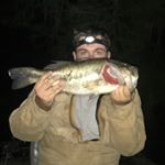 Profile Picture of Gavin Allen (@gavin_allen) on Instagram
