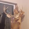 Profile Picture of Dustin Edwards (@@dustinedwards169) on Tiktok