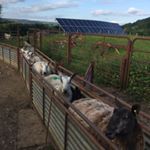 Profile Picture of Huw Ralph (@blackmountainbfl) on Instagram
