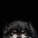 Profile Picture of Shelly Smith (@Shelly-Smith) on Facebook