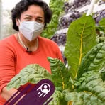 Profile Picture of Rosa Lafosse (@rosa.lafosse.2025) on Facebook