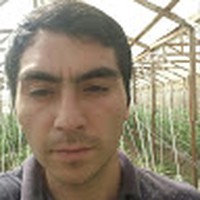 Profile Picture of Nicolas Cortez (@nicolas-cortez-11) on Quora