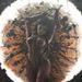 Profile Picture of corey kaiser (@ckaiser2973) on Pinterest