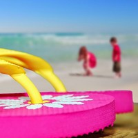 Profile Picture of Pam Castro (@pam-castro) on Quora