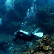 Profile Picture of Robert Sheepwash (@rsheepwash) on Youtube