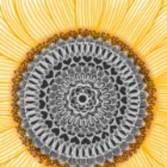 Profile Picture of Anna Shoockter (@grayblanket879) on Poshmark