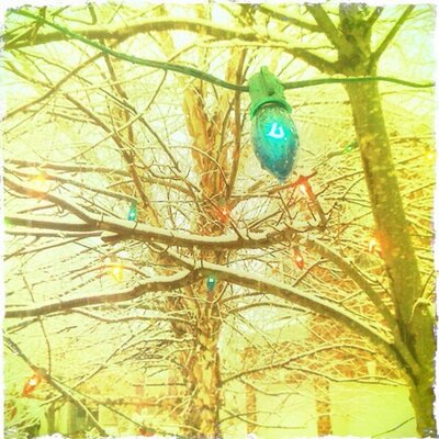 Profile Picture of Mike Randall (@mykrandall) on Twitter