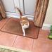 Profile Picture of Stephen Bushell (@stephen.bushell.73) on Facebook