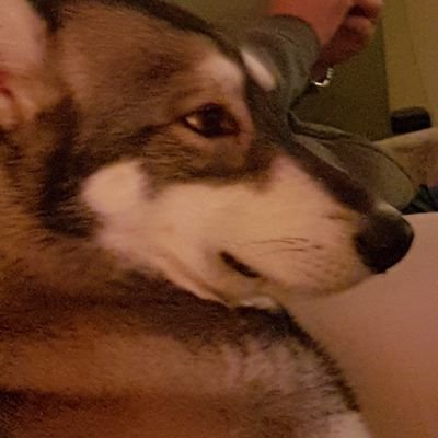Profile Picture of Dawn Herbert (@DHerbert48) on Twitter
