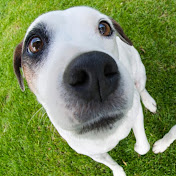 Profile Picture of Summer Patterson (@summerpatterson3719) on Youtube