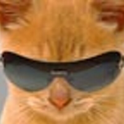 Profile Picture of Kevin S. Birnbaum (@KevinSBirnbaum) on Twitter