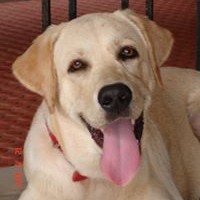 Profile Picture of Jayesh Nair (@jayesh-nair) on Quora