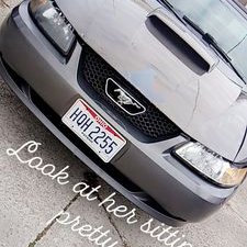 Profile Picture of Matthew Sigler (@03FordMustangGt) on Twitter